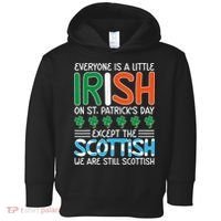 St Patrick's Day Irish Flag Scottish Shamrock Funny Joke Toddler Hoodie thumb 0