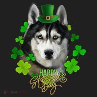 St Patrick's Day Irish Saint Patrick Shamrock Furious Husky Women's Sweatshirt thumb 2