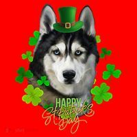 St Patrick's Day Irish Saint Patrick Shamrock Furious Husky Santa Hat thumb 1