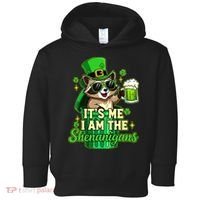 St Patrick's Day Its Me I Am The Shenanigans Raccoon Toddler Hoodie thumb 0
