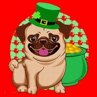 St Patricks Day Lucky Pug Dog Leprechaun Irish Shamrock Santa Hat thumb 1