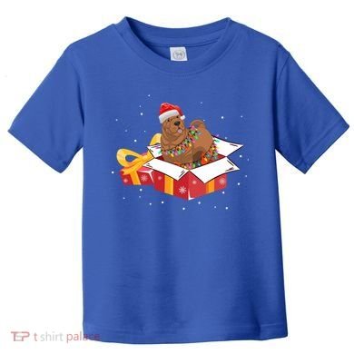 Shar Pei Dog Christmas Is Box Gift Dog Light Tree Xmas Cool Gift Toddler T-Shirt