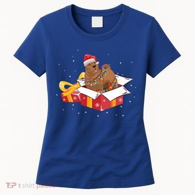 Shar Pei Dog Christmas Is Box Gift Dog Light Tree Xmas Cool Gift Women's T-Shirt