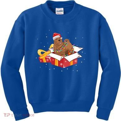 Shar Pei Dog Christmas Is Box Gift Dog Light Tree Xmas Cool Gift Kids Sweatshirt