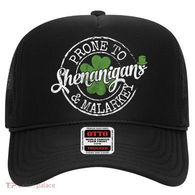 St Patricks Day, Funny St Patricks Day, St Patricks Day Shenanigans Hat