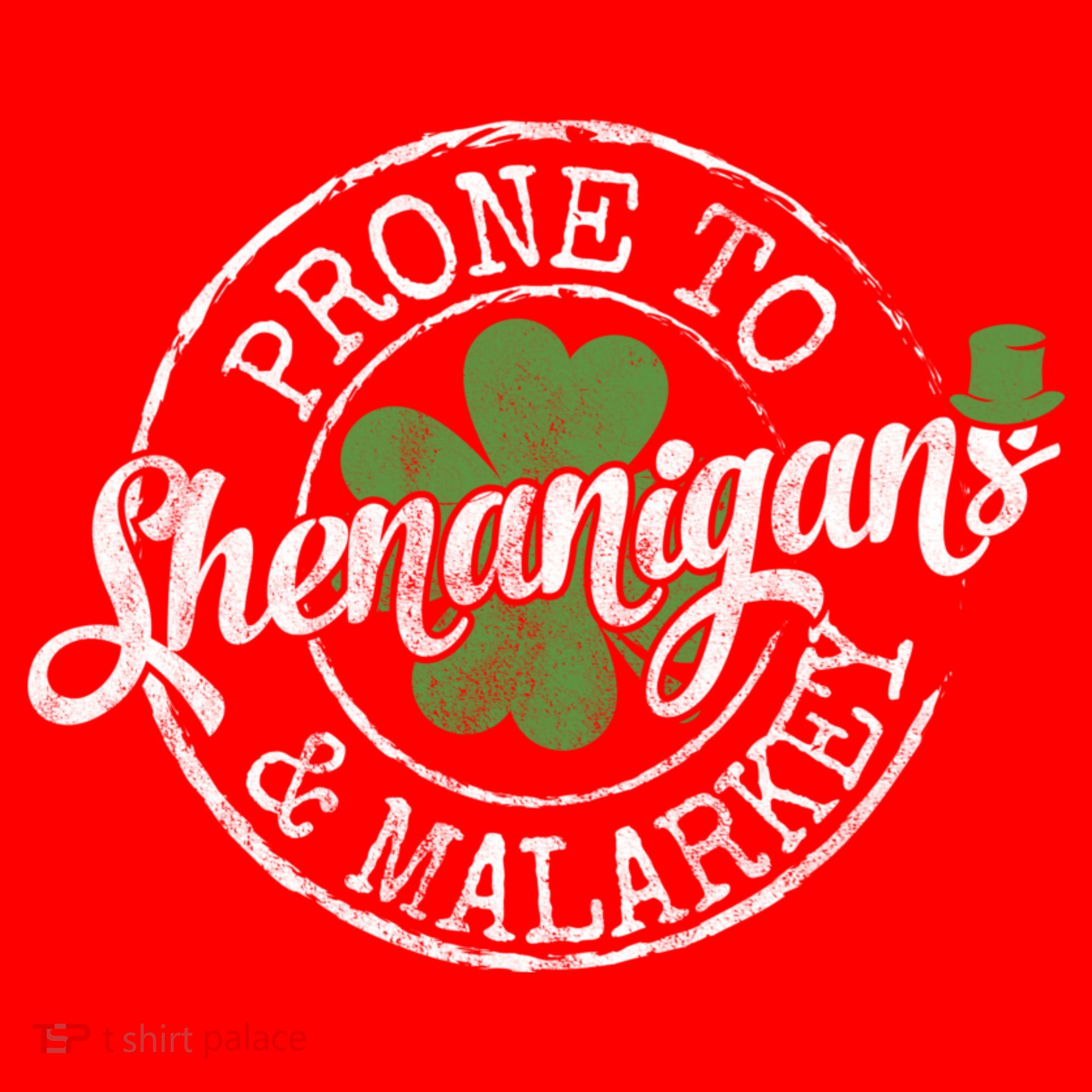 St Patricks Day, Funny St Patricks Day, St Patricks Day Shenanigans Santa Hat