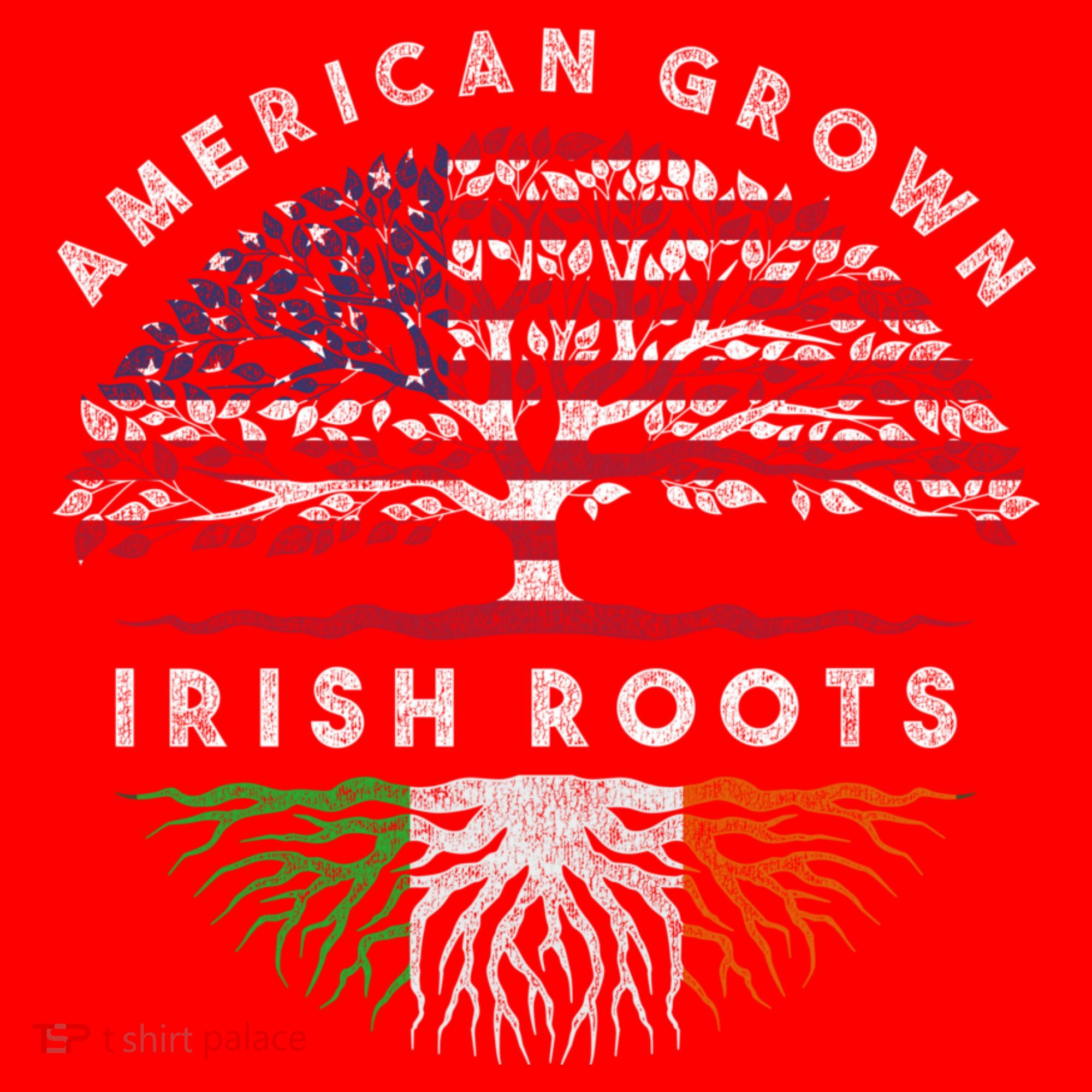 St Patricks Day, American Grown Irish Roots 9 Santa Hat
