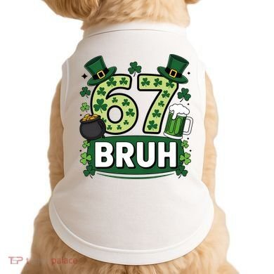 St Patrick’s Day 67 Bruh Viral Meme 6-7 Doggie Tank