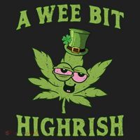 St Patricks Day, A Wee Bit, Funny St Patricks Day Tumbler thumb 3