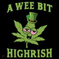 St Patricks Day, A Wee Bit, Funny St Patricks Day Toddler Hoodie thumb 2