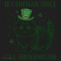 St Patricks Day If I Shenan Once I’Ll Shenanigan Funny Cat Beanie thumb 2