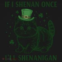 St Patricks Day If I Shenan Once I’Ll Shenanigan Funny Cat Women's Hoodie thumb 2