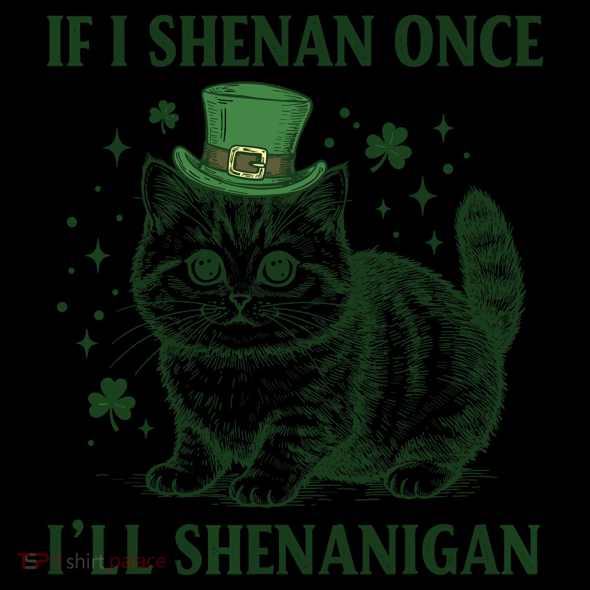 St Patricks Day If I Shenan Once I’Ll Shenanigan Funny Cat Women's Hoodie