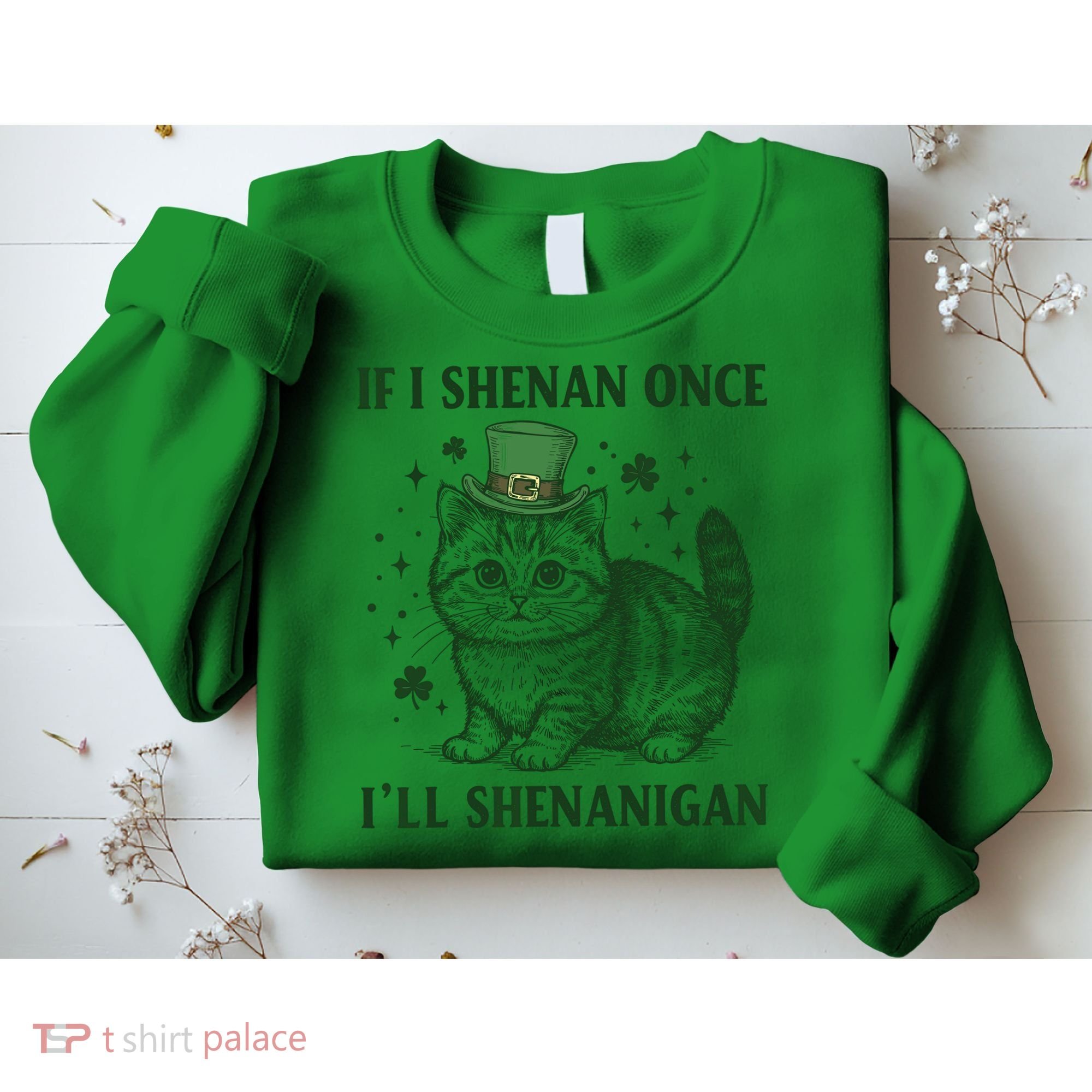 St Patricks Day If I Shenan Once I’Ll Shenanigan Funny Cat Sweatshirt