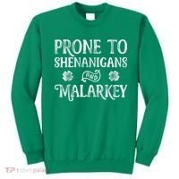 St Patricks Day, Prone To Shenanigans And Malarkey, Funny St Patricks Day Sweatshirt thumb 0