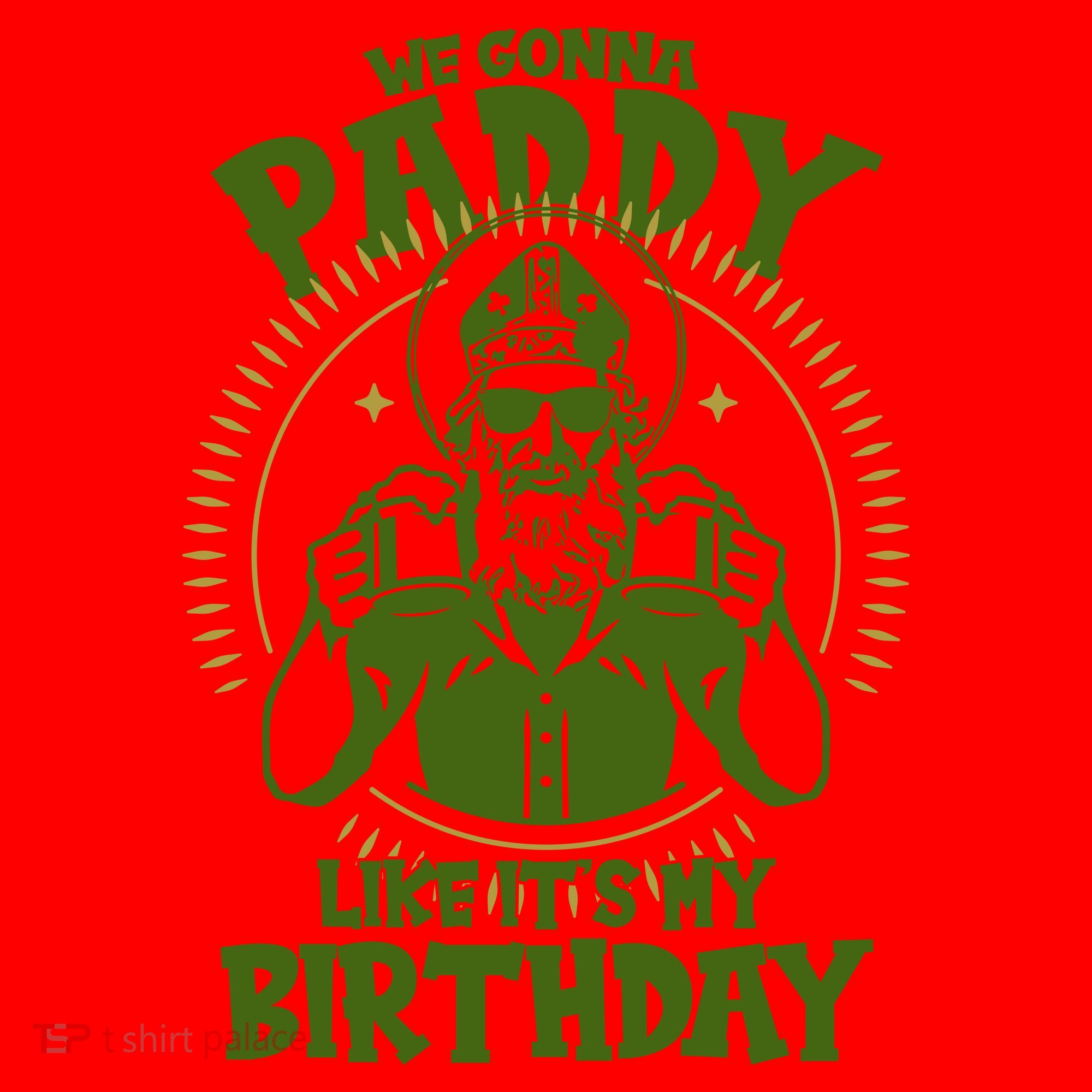 St Patricks Day We Gonna Paddy Like Its My Birthday Santa Hat