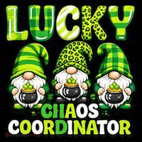 St Patrick's Day Lucky Chaos Coordonator Shamrock Irish Gnomes Women's T-Shirt thumb 6
