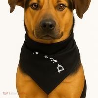 St Patricks Day Shamrock Hawaii Irish Green Saint Paddy's USA-Made Doggie Bandana thumb 1