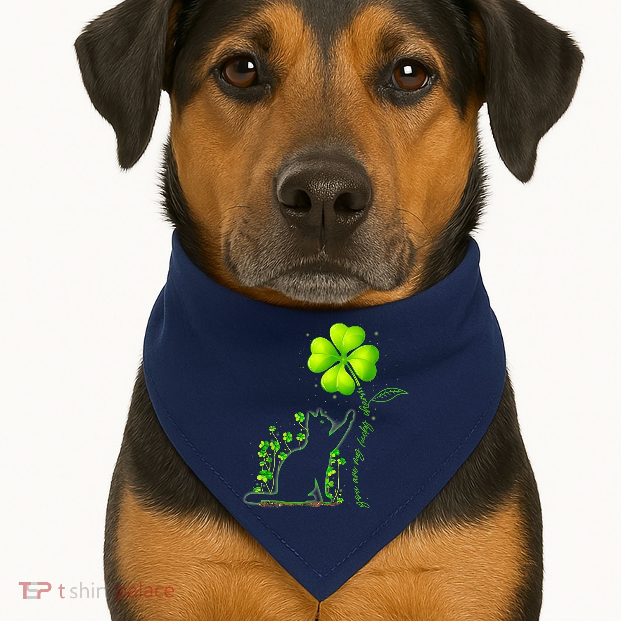 St Patricks Day Black Cat My Lucky Charm Shamrock Wo Girl USA-Made Doggie Bandana