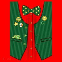 St Patricks Day Lucky Shamrock Vest Costume Santa Hat thumb 1