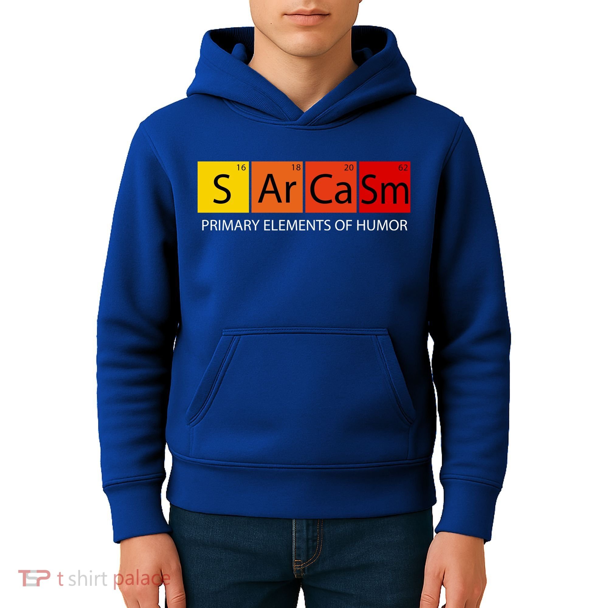 Sarcasm Primary Elements Of Humor Kids Hoodie