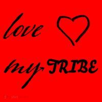 Special Needs Awareness Support Love My Tribe Santa Hat thumb 1