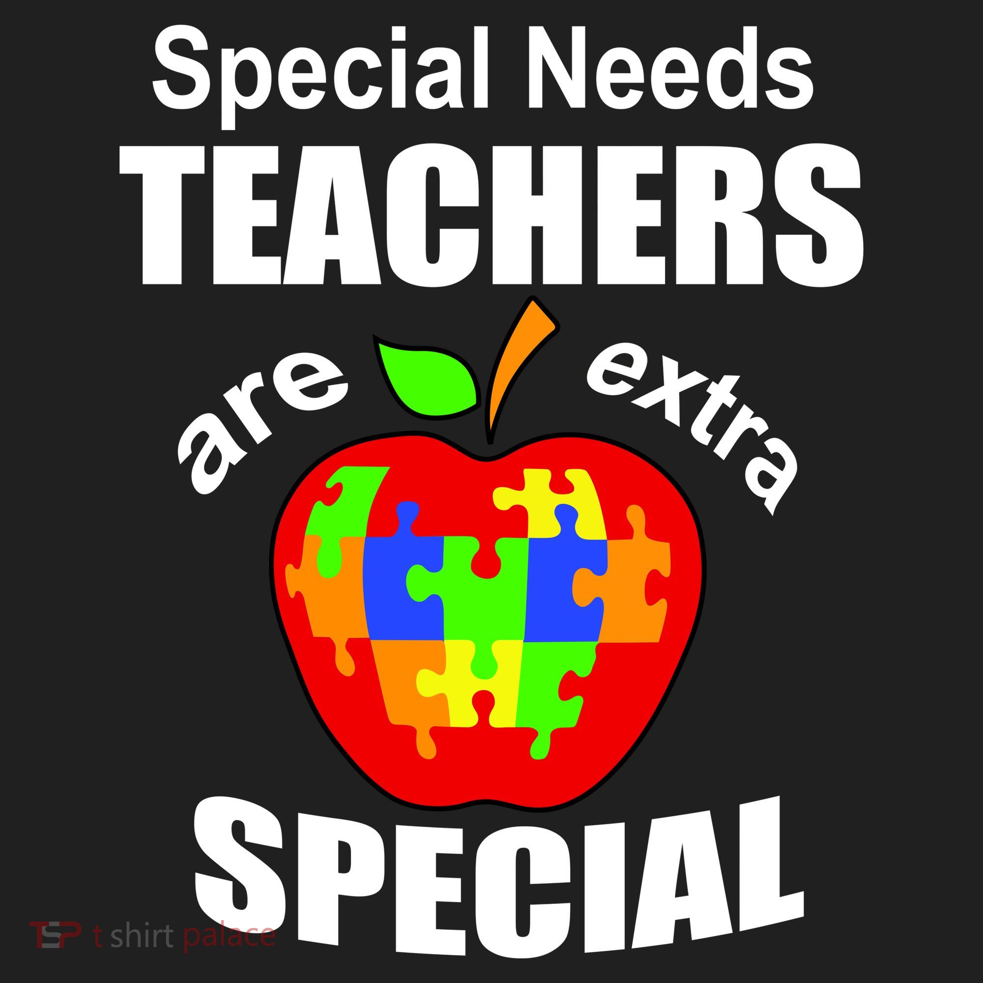Special Needs Teachers Are Extra Special Beanie