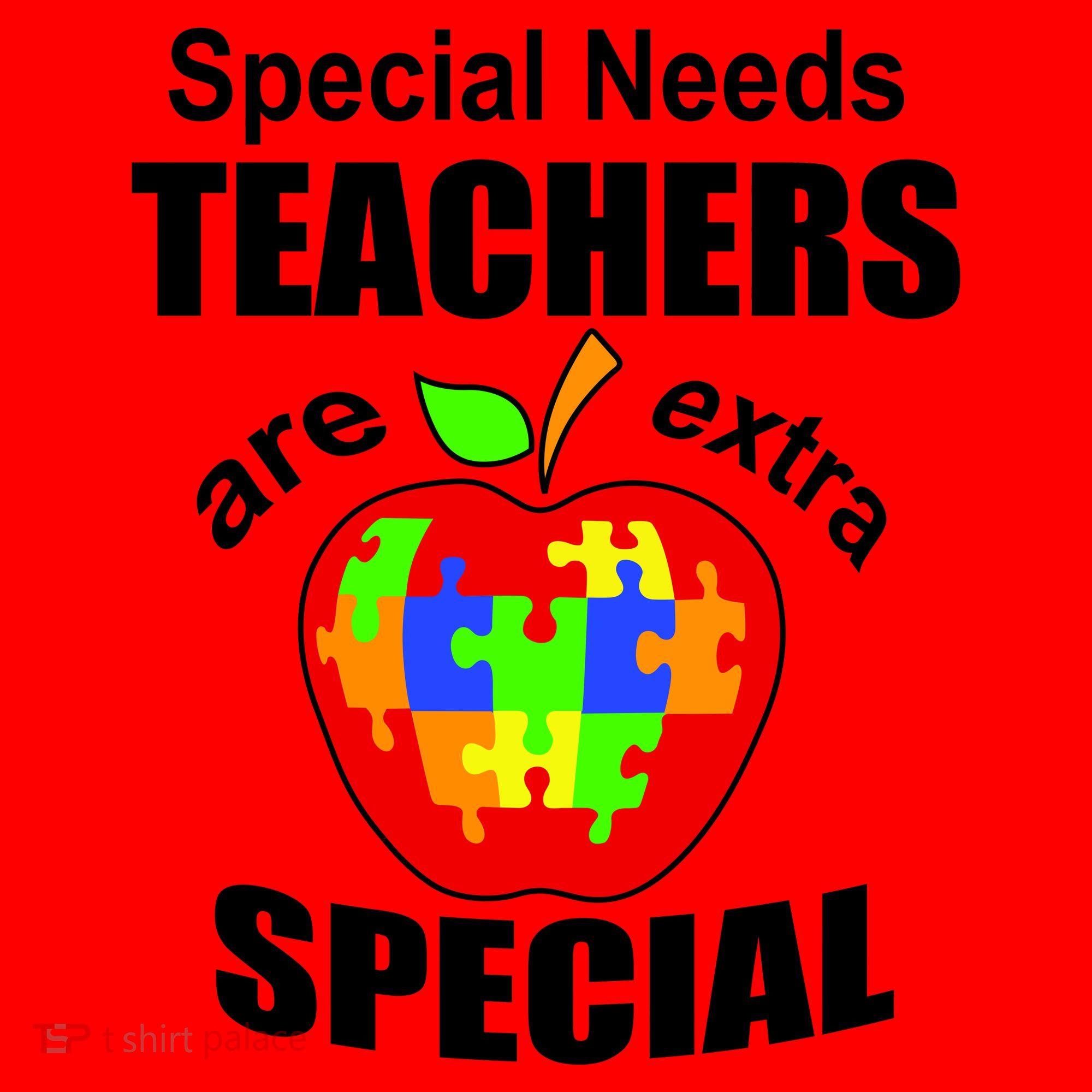 Special Needs Teachers Are Extra Special Santa Hat