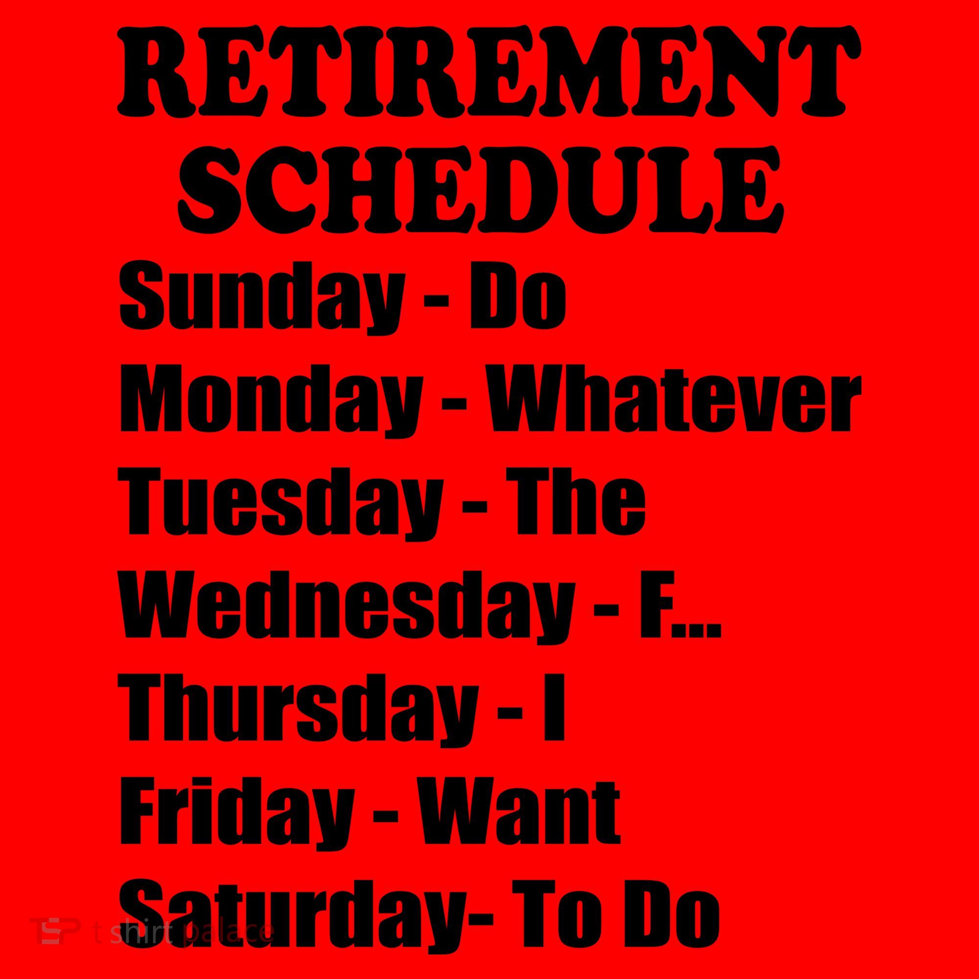 Special Retiree Gift - Funny Retirement Schedule  Santa Hat