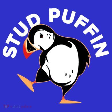 Stud Puffin Funny Seabird Animal Lover Stud Muffin Cool Gift Women's Long Sleeve Shirt