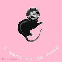 Space Possum Funny Introvert Anxiety Outer Space Doggie Tank thumb 4