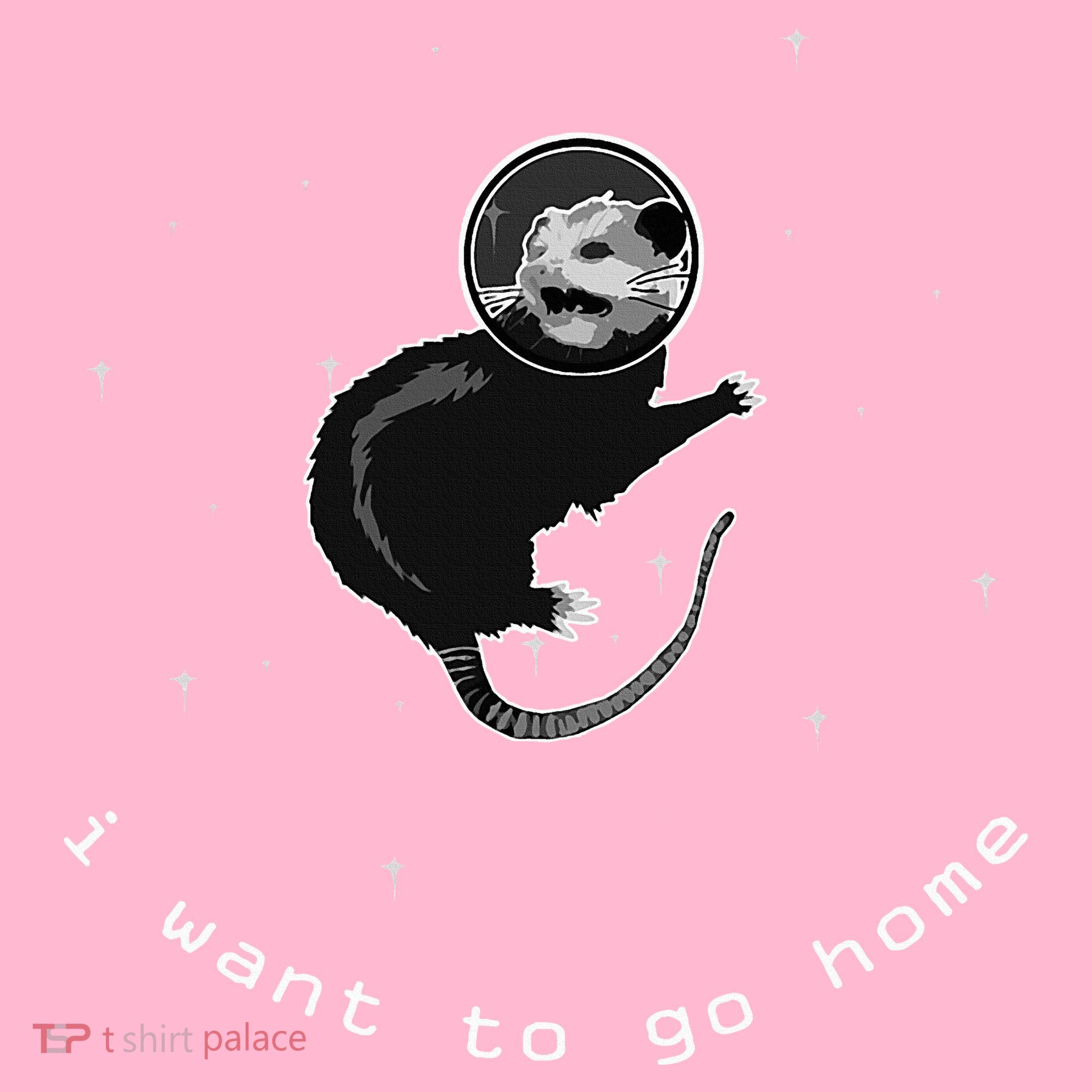 Space Possum Funny Introvert Anxiety Outer Space Button