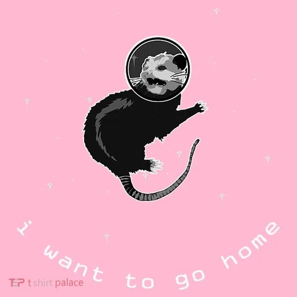 Space Possum Funny Introvert Anxiety Outer Space Kids Hoodie