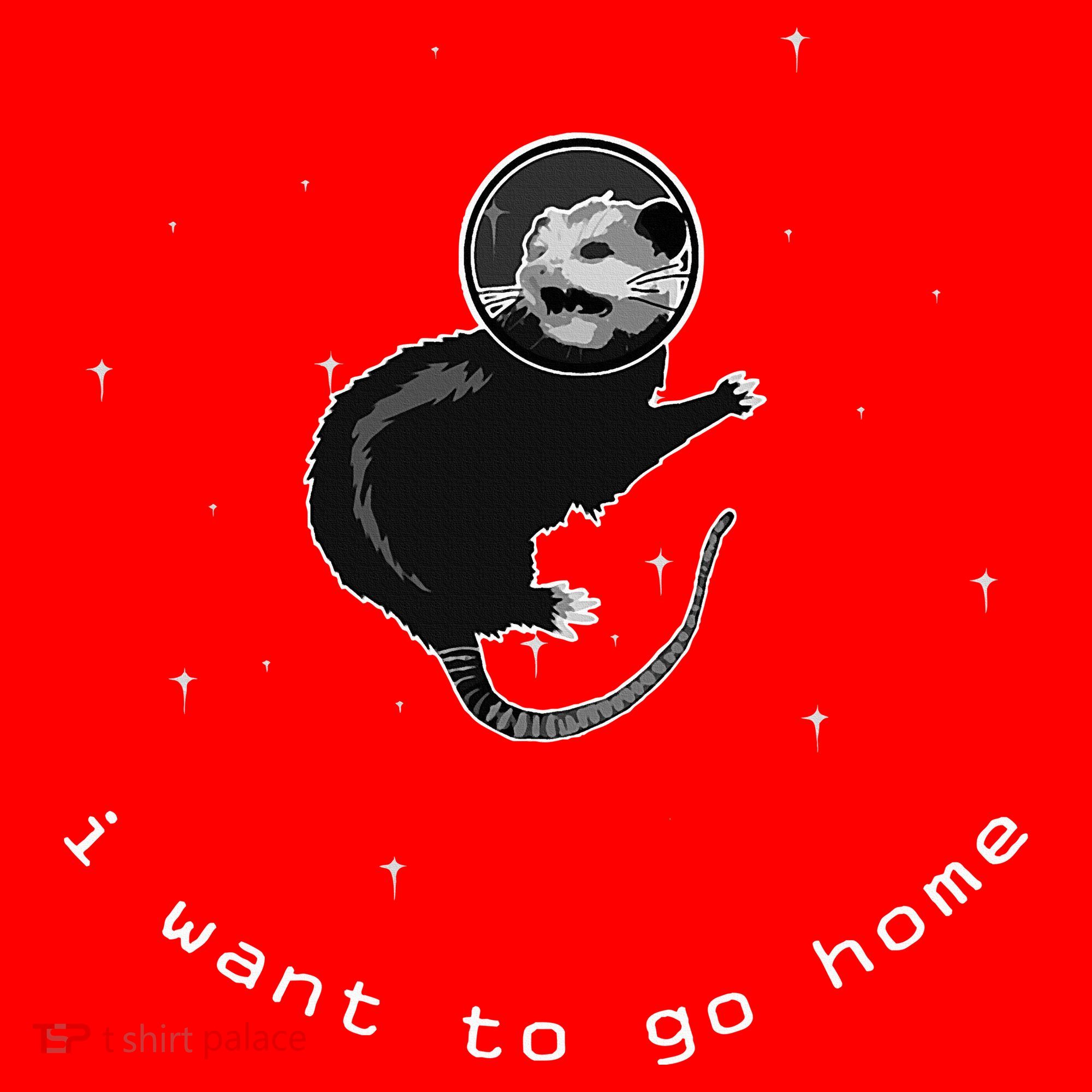 Space Possum Funny Introvert Anxiety Outer Space Santa Hat
