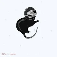 Space Possum Funny Introvert Anxiety Outer Space Bucket Hat thumb 4
