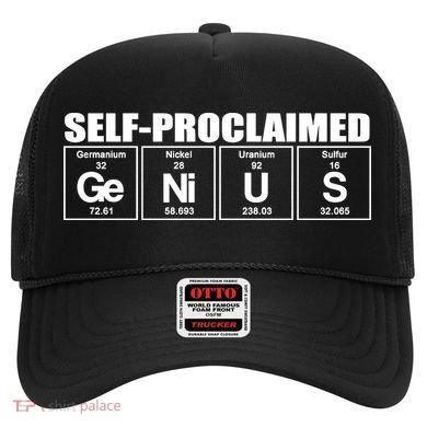 Self Proclaimed Genius Funny Gift Hat