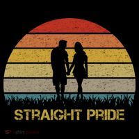 Straight Pride Heterosexual Pride Hoodie thumb 7