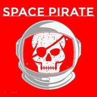 Space Pirate Halloween Costume For Pirate Astronaut Fan Santa Hat thumb 1