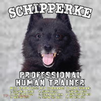 Schipperke Professional Human Trainer Cute Dog The Baniff Cuffed Pom Beanie thumb 2