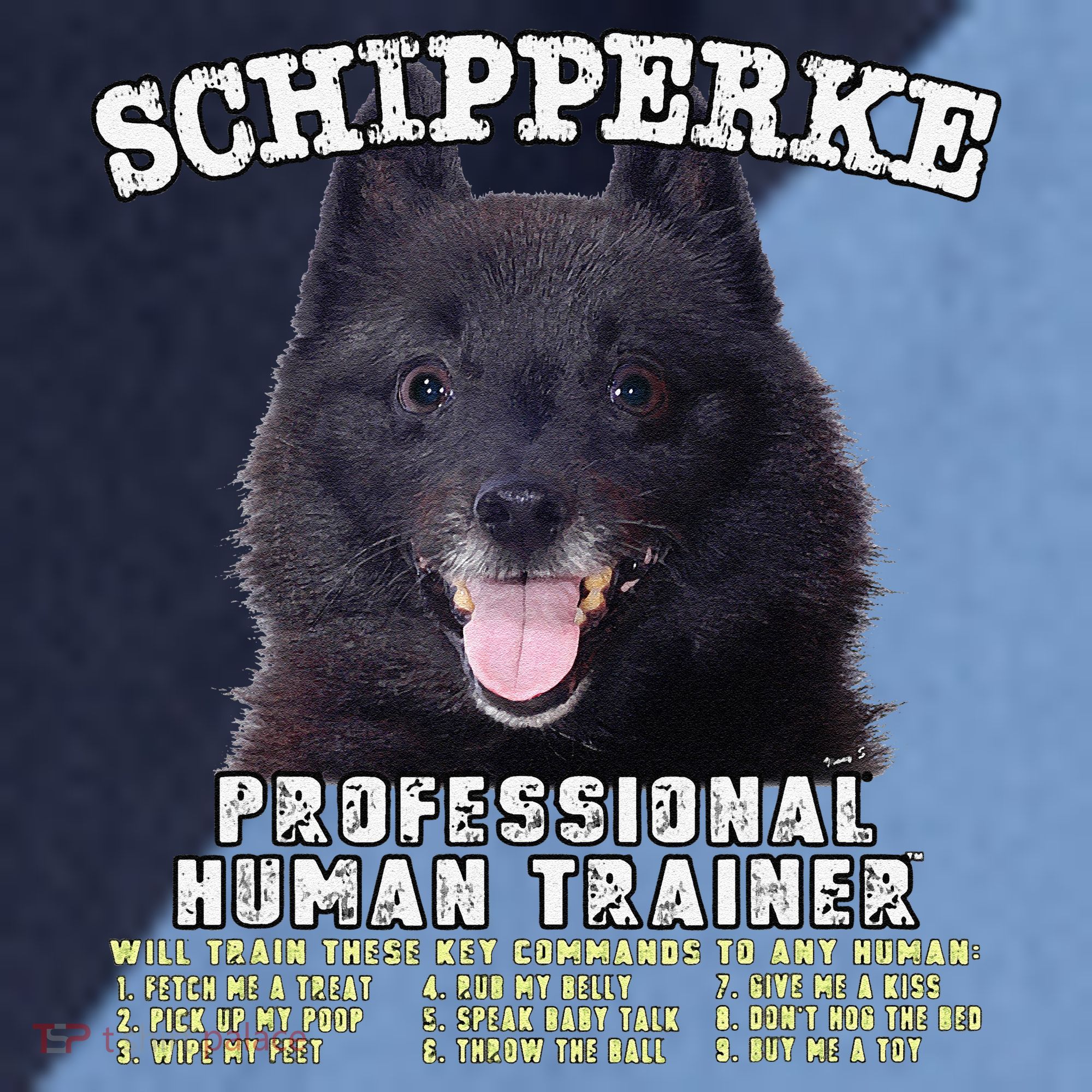 Schipperke Professional Human Trainer Cute Dog Raglan Baseball Sleeve Shirt