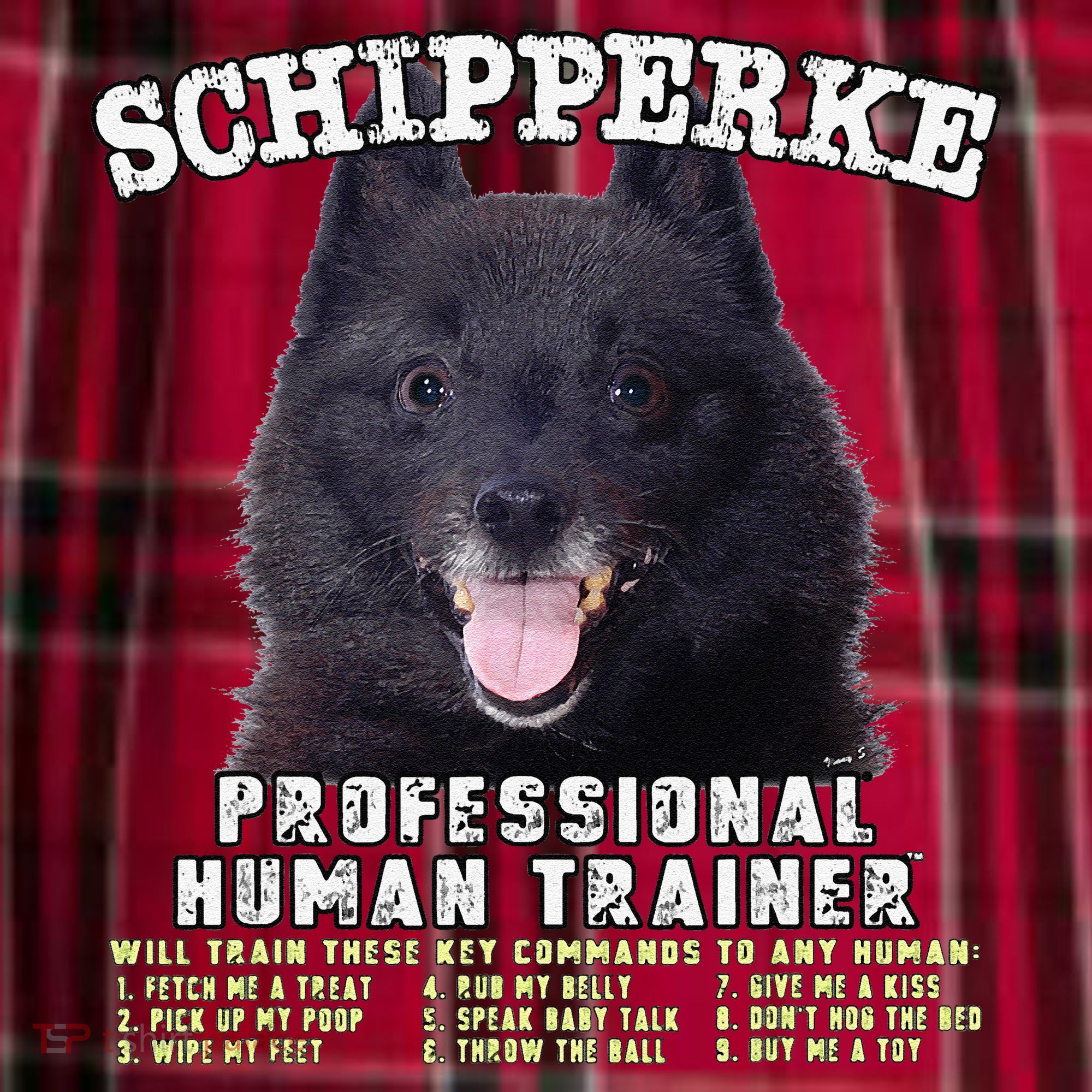 Schipperke Professional Human Trainer Cute Dog Women's Flannel Plaid Pajama Pants