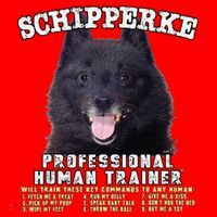 Schipperke Professional Human Trainer Cute Dog Santa Hat thumb 1