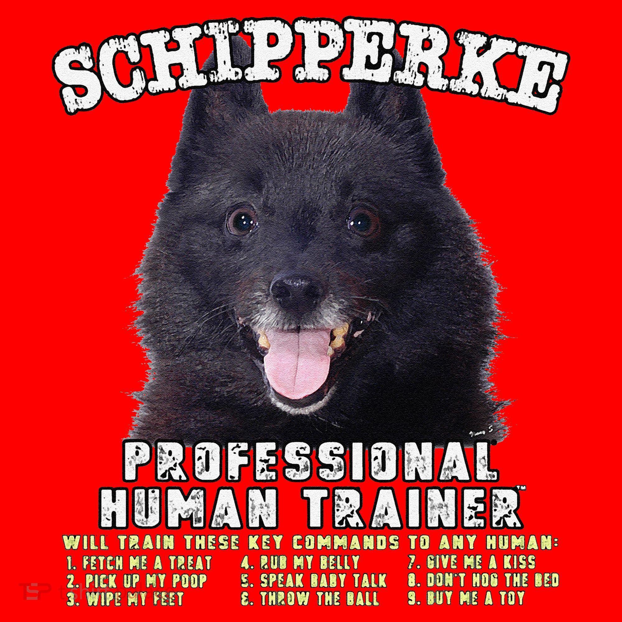 Schipperke Professional Human Trainer Cute Dog Santa Hat