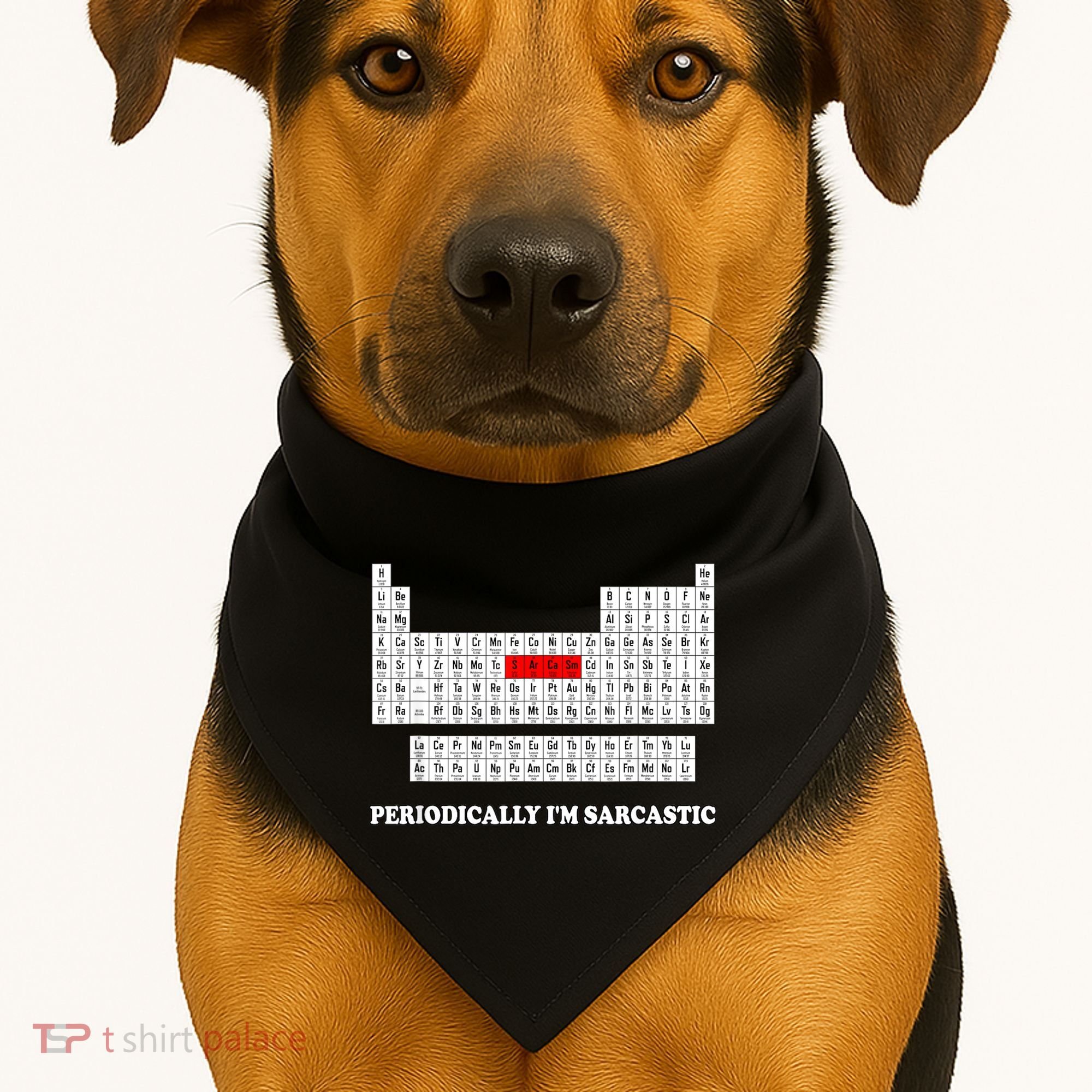 Sarcasm Periodically I'm Sarcastic USA-Made Doggie Bandana