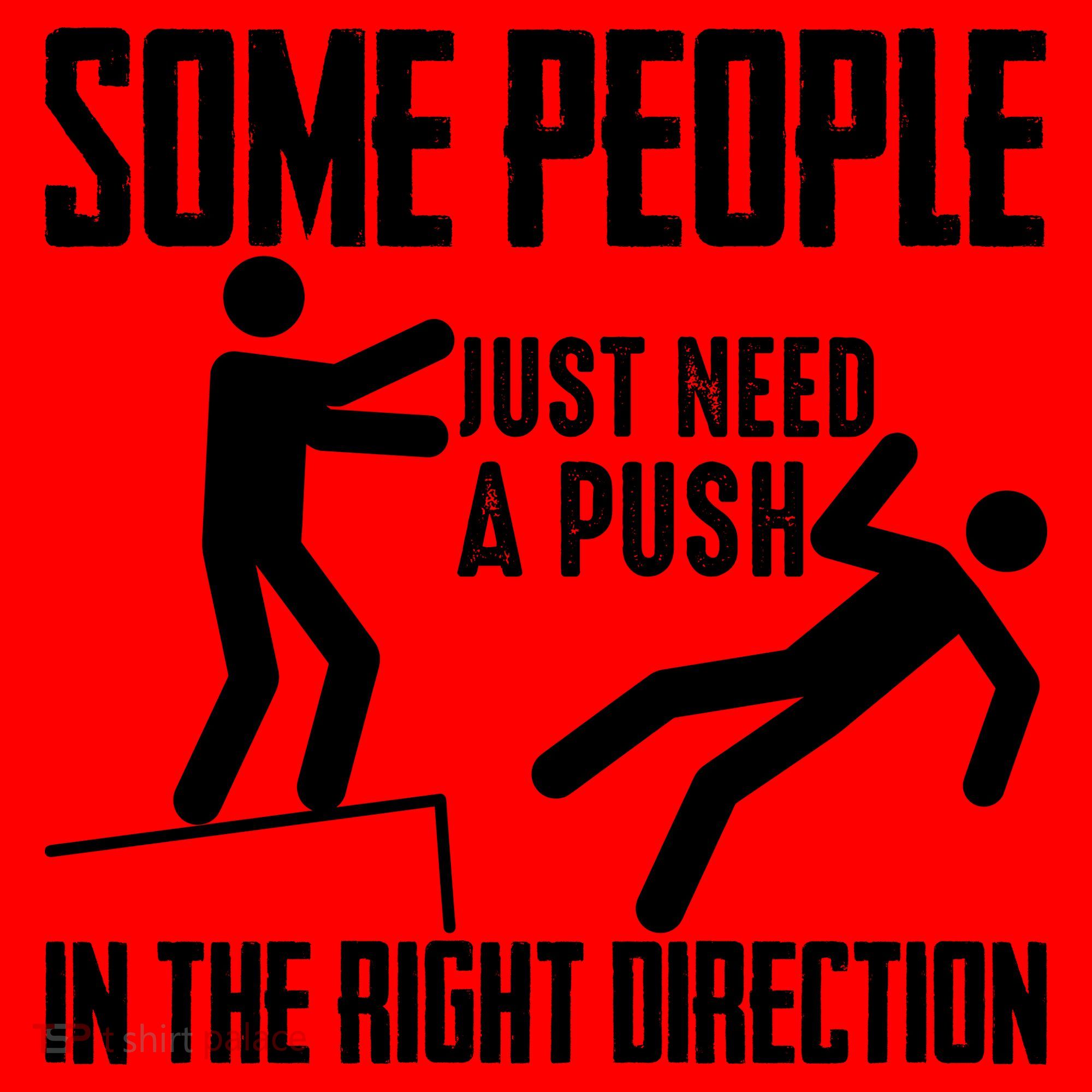 Some People Just Need A Push In The Right Direction Santa Hat
