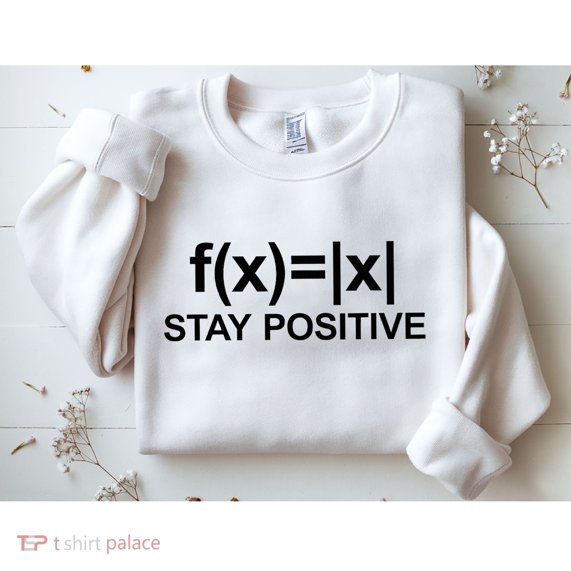Stay Positive Math Avoid Negativity Math Sweatshirt