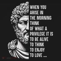 Stoic Philosopher Marcus Aurelius Motivational Quote Toddler Sweatshirt thumb 2