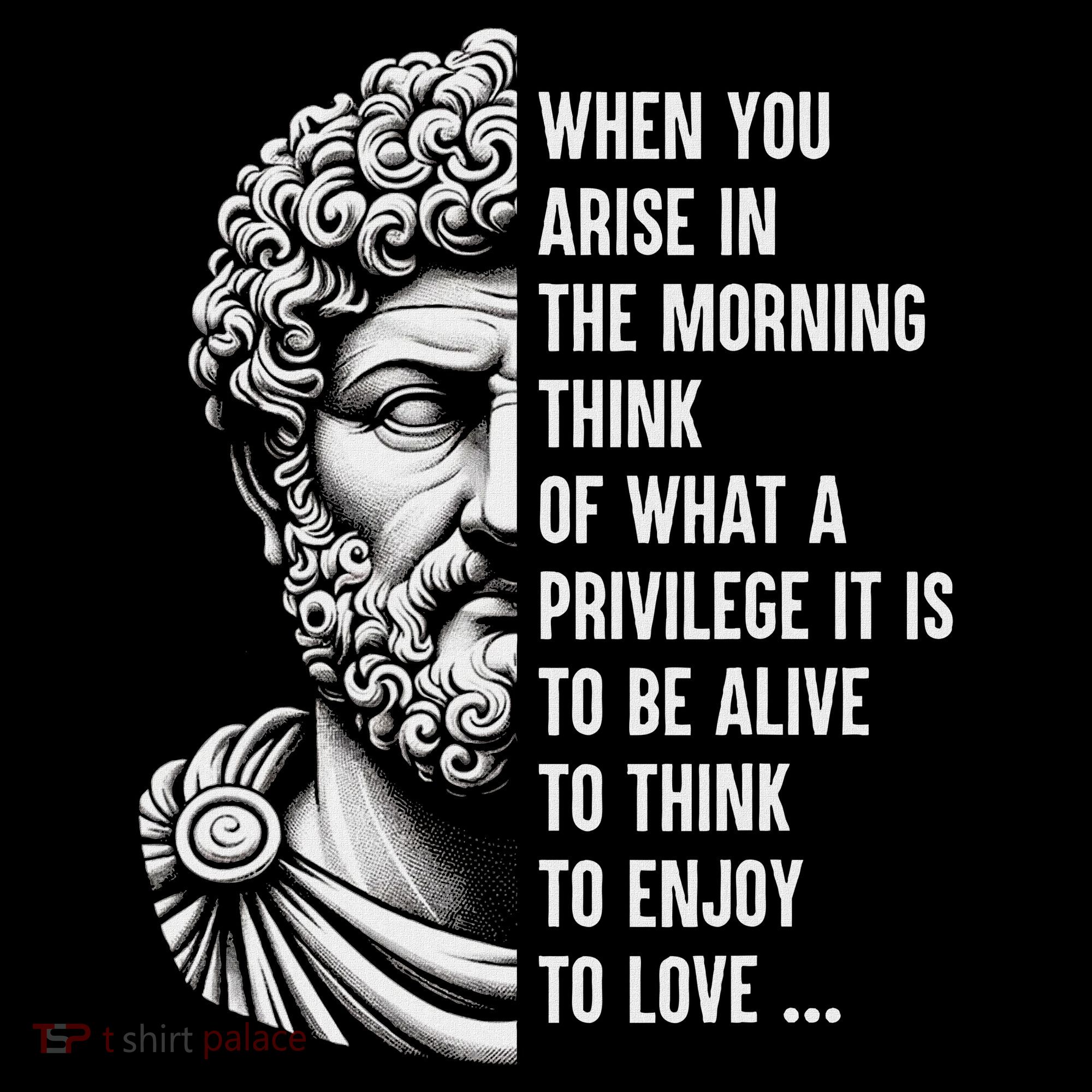 Stoic Philosopher Marcus Aurelius Motivational Quote Women's Long Sleeve Shirt