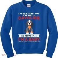 Spoiled King Charles Cavalier Kids Sweatshirt thumb 0