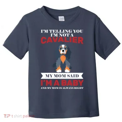 Toddler T-Shirt
